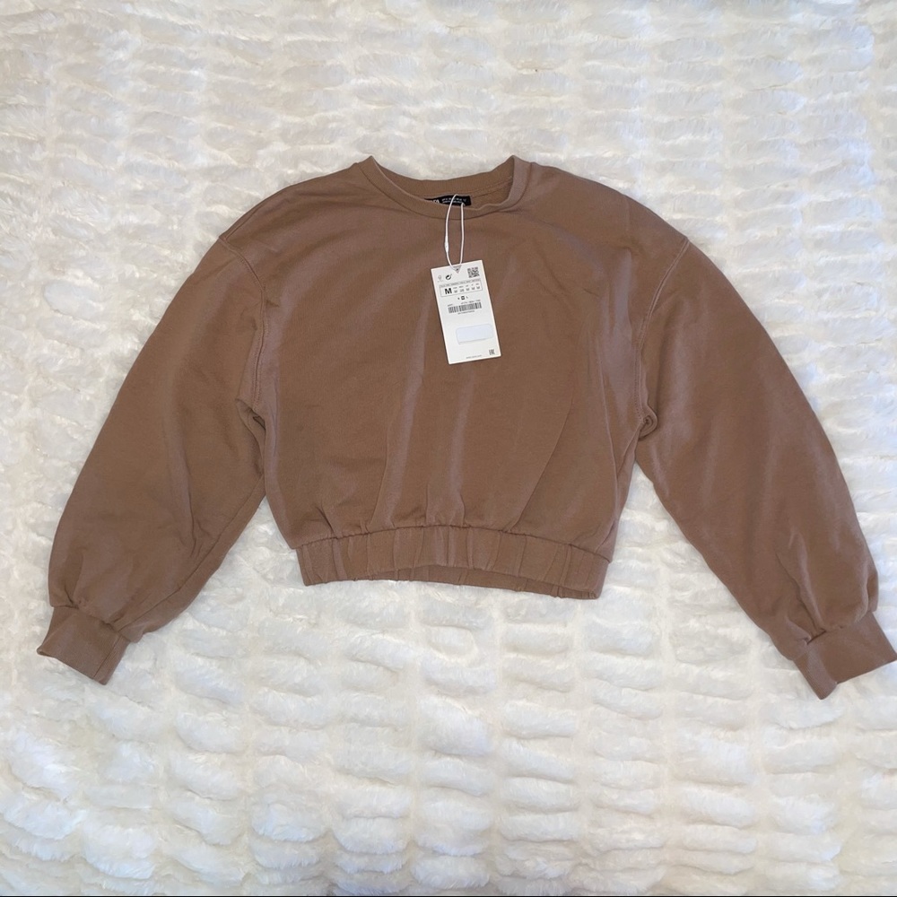 ZARA Cropped Crew Neck Sweater